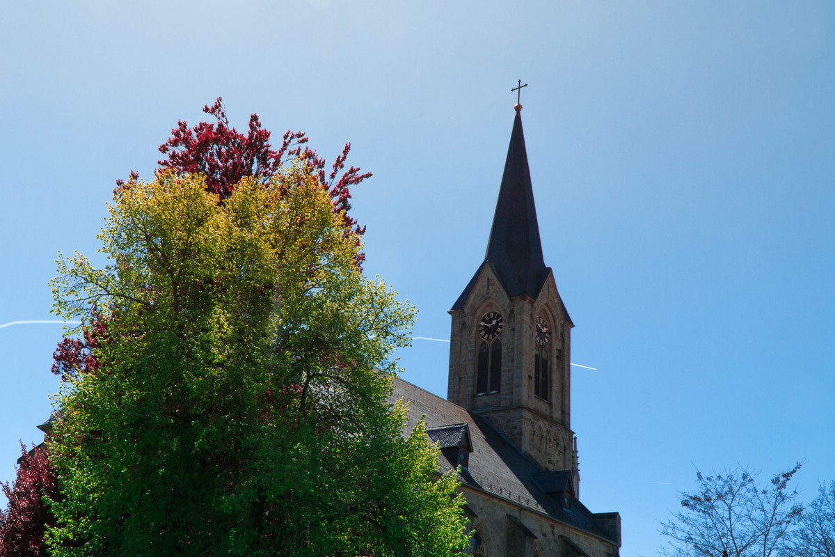 O Fotomagazin / Pregrtner Pflanzl- und Gartenkirtag 2016